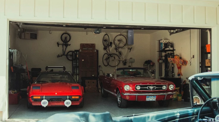 Durable Chain Drive Options